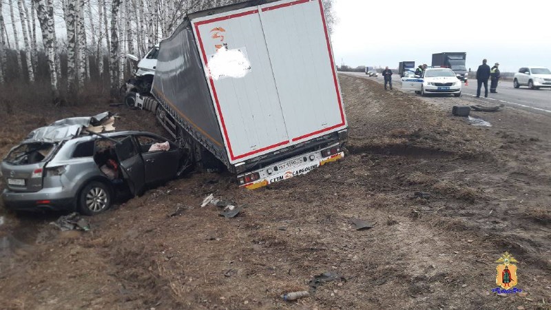 Шесть человек погибли в утренней аварии на трассе М-5 Урал в Рязанской области