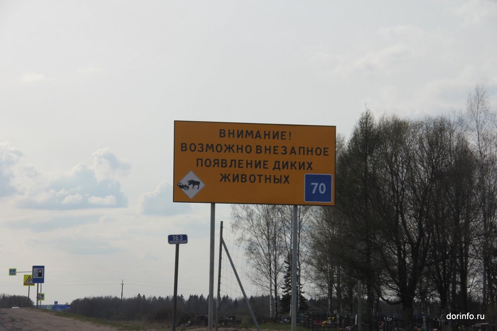 39. появление животных (1).JPG