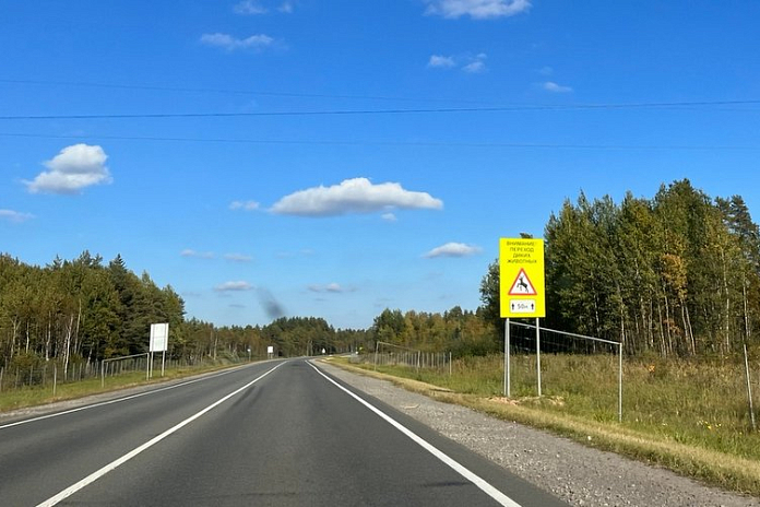 Вдоль дорог в Кировской области устанавливают ограждения от диких животных