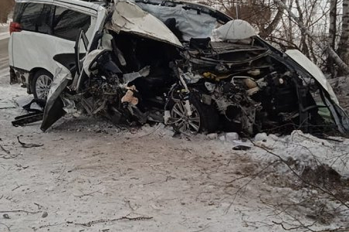 Иномарка врезалась в дерево в Хакасии: погибла женщина-водитель