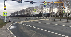 На федеральных трассах в Нижегородской области обустроили почти 20 наземных переходов