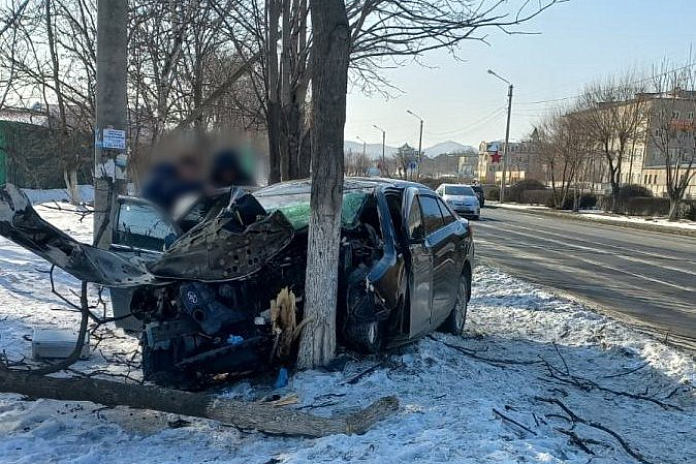 Легковушка въехала в дерево в Находке: погиб ребенок