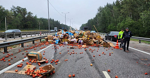 Опрокинувшийся грузовик собрал пробку на трассе М-4 Дон в Воронежской области