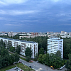 Штормовой ветер повалил деревья и знаки на дороги Петербурга