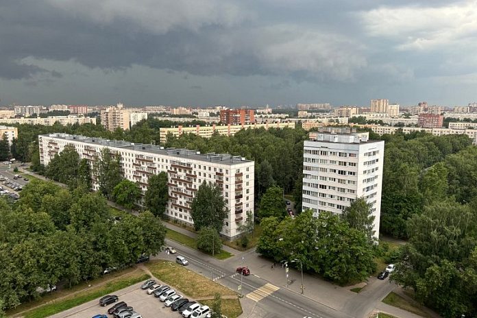 Более 500 деревьев убрали за ночь с дорог Ленобласти после шторма