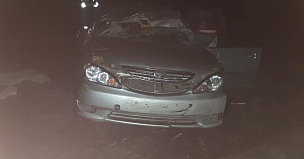 Двое пострадали в аварии на трассе М-4 Дон в Воронежской области